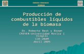 ENERGÏAS RENOVABLES BIOMASA Producción de combustibles líquidos de la biomasa Dr. Roberto Best y Brown CREVER-Universidad Rovira i Virgili CIE-UNAM Abril.