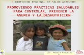 DIRECCION REGIONAL DE SALUD AYACUCHO Lic. Maruja Palomino P. PROMOVIENDO PRACTICAS SALUDABLES PARA CONTROLAR, PREVENIR LA ANEMIA Y LA DESNUTRICION.