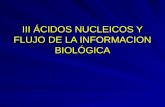 III ÁCIDOS NUCLEICOS Y FLUJO DE LA INFORMACION BIOLÓGICA.