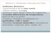 Modulo 2: Ambientes naturales de Chile Ambiente desértico: -Característico de la zona norte. -Climas áridos y pampas. -Extensas zonas desprovistas de vegetación.