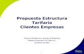 1 Propuesta Estructura Tarifaria Clientes Empresas Francisco Zúñiga Caro, Gerente de Marketing Telefónica Empresas CTC Chile S.A. Diciembre de 2003.