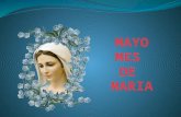 Mayo: Mes de María Mayo es el mes de las flores, de la primavera. Mes en el que todos recuerdan a su mamá (el famoso 10 de Mayo) y las flores son el regalo.