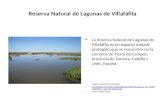 Reserva Natural de Lagunas de Villafáfila La Reserva Natural de Lagunas de Villafáfila es un espacio natural protegido que se encuentra en la comarca de.