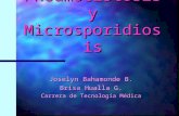Pneumocistosis y Microsporidiosis Pneumocistosis y Microsporidiosis Joselyn Bahamonde B. Brisa Hualla G. Carrera de Tecnología Médica.
