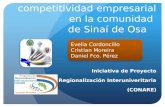 Aumento de la competitividad empresarial en la comunidad de Sinaí de Osa Iniciativa de Proyecto Regionalización Interuniveritaria (CONARE) Evelia Cordoncillo.