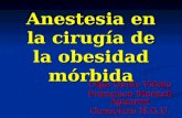 Anestesia en la cirugía de la obesidad mórbida Olga Quilis Viñals Francisco Montull Aguaron Consorcio H.G.U. Valencia