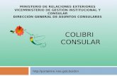 COLIBRI CONSULAR  MINISTERIO DE RELACIONES EXTERIORES VICEMINISTERIO DE GESTIÓN INSTITUCIONAL Y CONSULAR DIRECCIÓN GENERAL.