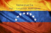 Venezuela Por: Catalina Rodriguez campo Cordillera de los Andes y las tierras bajas de Maracaibo en el noroeste ; llanos centrales (llanos) ; Tierras.