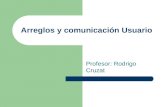Arreglos y comunicación Usuario Profesor: Rodrigo Cruzat.