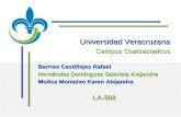 Universidad Veracruzana Campus Coatzacoalcos Barrios Castillejos Rafael Hernández Domínguez Gabriela Alejandra Muñoz Montalvo Karen Alejandra LA-502.