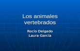 Los animales vertebrados Rocío Delgado Laura García.