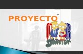 PROYECTO.  Proyecto Junior 2007 – 2008  Sábados de 16:30 a 18:00  Monitores: