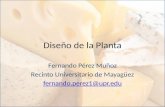 Diseño de la Planta Fernando Pérez Muñoz Recinto Universitario de Mayagüez fernando.perez1@upr.edu.