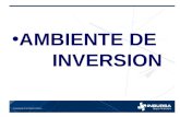 AMBIENTE DE INVERSION. DOS CONCEPTOS IMPORTANTES.