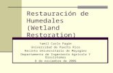 Restauración de Humedales (Wetland Restoration) Yamil Carlo Pagán Universidad de Puerto Rico Recinto Universitario de Mayagüez Departamento de Ingeniería.