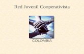 COLOMBIA Red Juvenil Cooperativista. Sector solidario Sector cooperativo Pre-cooperativas Cooperativas Organismos de segundo y tercer grados Administraciones.