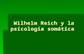 Wilhelm Reich y la psicología somática Wilhelm Reich y la psicología somática.