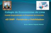 Comité Especializado en Proyectos de Inversión Econ. Wilmer Pajuelo Ramos «El SNIP: Fortalezas y Debilidades»