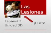 Las Lesiones Español 2 Unidad 3D ¡Ouch!. ¡LOS ANIMALES TAMBIEN ESTORNUDAN! Perros Estornudando El Oso! Lucas Achu!