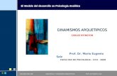 SEGUNDO AÑO 2008 DESARROLLO Y DINAMISMOS ARQUETIPICOS PROF. DR. MARIO E. SAIZ El Modelo del desarrollo en Psicología Analítica DINAMISMOS ARQUETIPICOS.