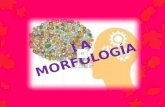 DEFINICIONES IMPORTANTES  Gramática:  Morfología (lingüística): el estudio de la estructura de formación de las palabras.  Morfología de la lingüística.
