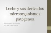 Leche y sus derivados microorganismos patógenos Microbiología de alimentos I.Q. Kevs Chacón García.