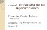 71.12 Estructura de las Organizaciones Presentación del Trabajo Práctico Ayudante : Ing. Norberto Barmack Grupo: B1.