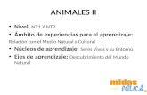 ANIMALES II Nivel: NT1 Y NT2 Ámbito de experiencias para el aprendizaje: Relación con el Medio Natural y Cultural Núcleos de aprendizaje: Seres Vivos y.