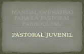 PASTORAL JUVENIL. A. Definición de la Pastoral Juvenil Parroquial. B. Destinatarios y Diferenciación. C. Diagrama de procesos para iniciar una Pastoral.