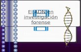 El ADN en investigación forense Fabiola Monzón Girón Paola Denisse Mendoza.