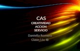 CAS CREATIVIDAD ACCION SERVICIO Daniella Romero Clase:11c IB.