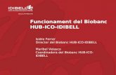 Funcionament del Biobanc HUB-ICO-IDIBELL Isidre Ferrer Director del Biobanc HUB-ICO-IDIBELL Maribel Velasco Coordinadora del Biobanc HUB-ICO-IDIBELL.