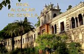 El Real Alcázar de Sevilla es un mosaico de palacios de distintas épocas y estilos arquitectónicos que conviven en perfecta armonía. Un halo mágico.