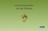 La Germinación de las Plantas. Cuento: El Girasol Autora: Isabel Freire de Matos Editor: Camera Mundi, Inc. Edición: 2004.