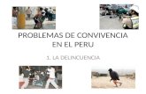 PROBLEMAS DE CONVIVENCIA EN EL PERU 1. LA DELINCUENCIA.