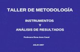 TALLER DE METODOLOGÍA INSTRUMENTOS Y ANÁLISIS DE RESULTADOS Profesora Rosa Aura Casal JULIO 2007.