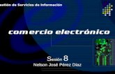 S esión 8 Nelson José Pérez Díaz Gestión de Servicios de Información.