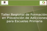 Taller Regional de Formación en Prevención de Adicciones para Escuelas Primaria.