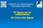 Cátedra de Climatología y Fenología Agrícolas El Agua en la naturaleza El Ciclo del Agua.