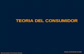 Microeconomia: Prof Ernesto Moreno TEORIA DEL CONSUMIDOR Caracas, 03 de Octubre de 2002.