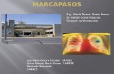 E.g.. Maria Teresa Flores Ibarra. Dr. Rafael Corral Palacios. Cirujano cardiovascular. Luis Mario Orozco Escobar. 144285 Victor Manuel Meraz Flores. 144938.
