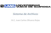 Sistema de Archivos M.C. Juan Carlos Olivares Rojas.