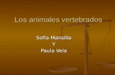 Los animales vertebrados Sofía Mansilla Y Paula Vela.