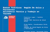 Buenas Prácticas Región De Arica y Parinacota Asistencia Técnica y Trabajo en Terreno Francisca Lagos - Cynthia Aránguiz Equipo CHCC Servicio de Salud.