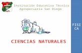 Institución Educativa Técnica Agropecuaria San Diego.
