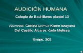 AUDICIÓN HUMANA Colegio de Bachilleres plantel 13 Alumnas: Cortina Lemus Karen Itzayana Del Castillo Álvarez Karla Melissa Grupo: 305.