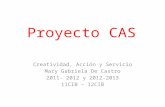 Proyecto CAS Creatividad, Acción y Servicio Mary Gabriela De Castro 2011- 2012 y 2012-2013 11CIB – 12CIB.