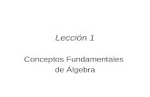 Lección 1 Conceptos Fundamentales de Álgebra. Tipos de números reales Enteros positivos o números naturales: Enteros no-negativos: Enteros.
