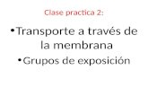 Clase practica 2: Transporte a través de la membrana Grupos de exposición.