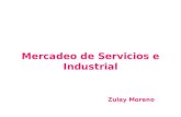 Mercadeo de Servicios e Industrial Zulay Moreno.